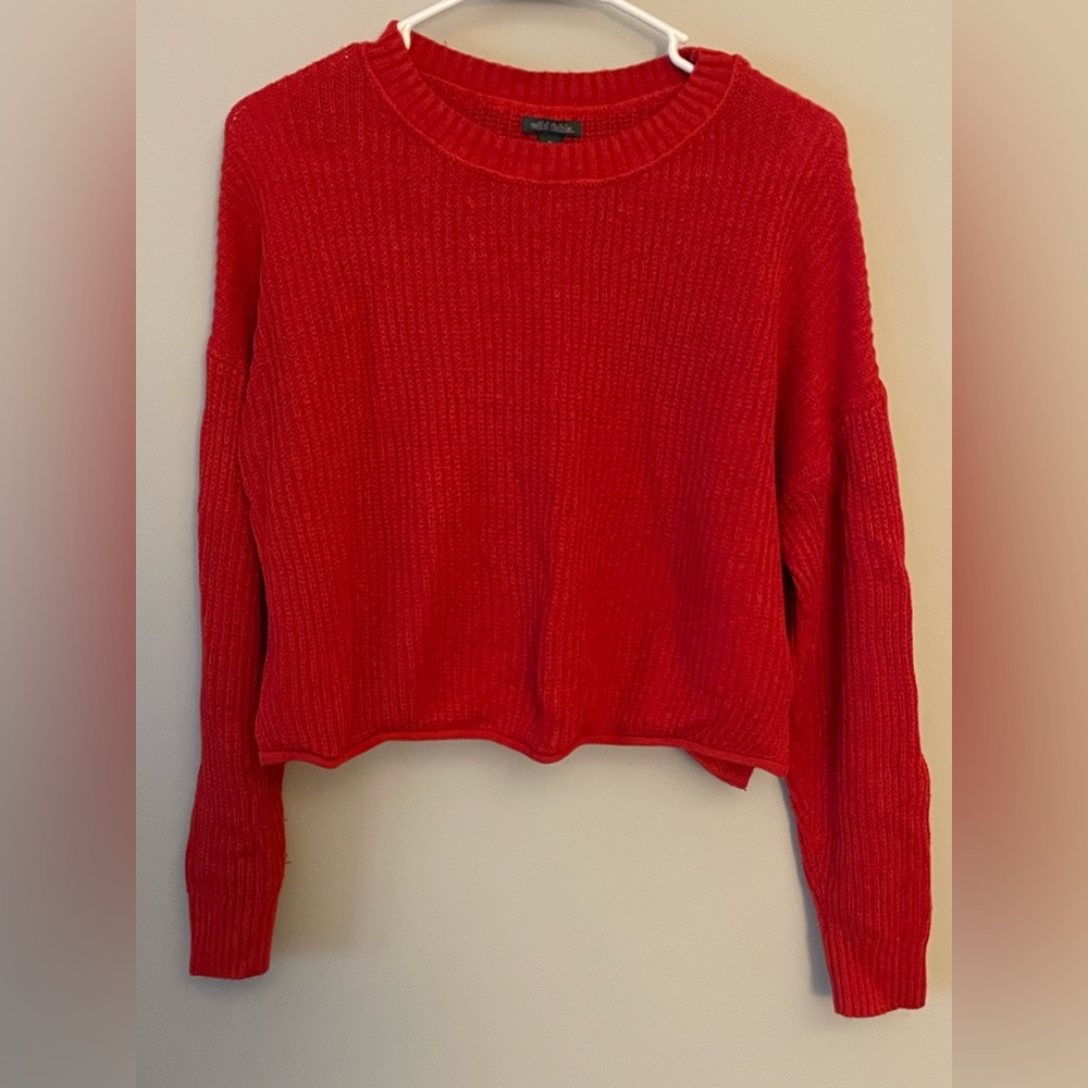 wild fable | red cropped sweater